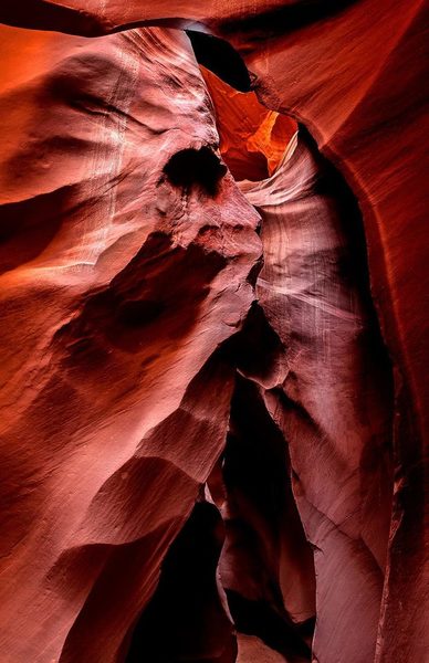 The Shamans' Call