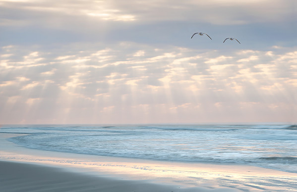 Ocean Dreams