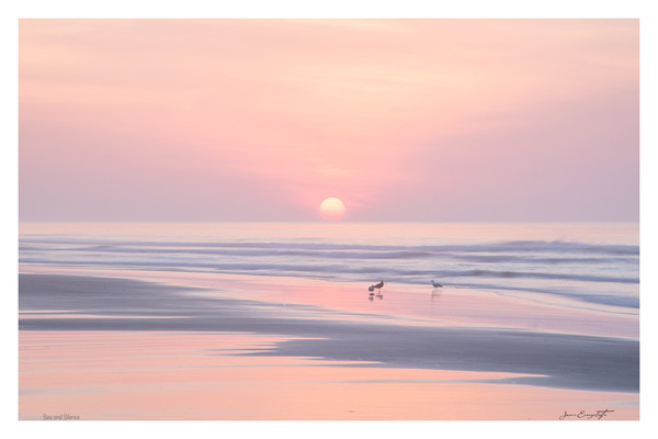 Sea & Silence