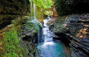 Watkins' Glen