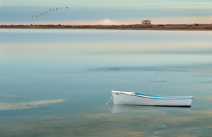 The Color of Turquoise