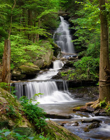 Ozone Falls, Spring