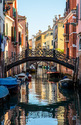 The Colors of Venice